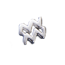 Load image into Gallery viewer, Astrology Horoscope Bead