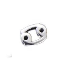 Load image into Gallery viewer, Astrology Horoscope Bead