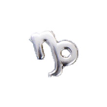 Load image into Gallery viewer, Astrology Horoscope Bead