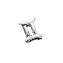 Load image into Gallery viewer, Astrology Horoscope Bead