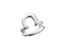 Load image into Gallery viewer, Astrology Horoscope Bead