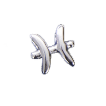 Load image into Gallery viewer, Astrology Horoscope Bead