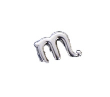 Load image into Gallery viewer, Astrology Horoscope Bead