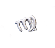 Load image into Gallery viewer, Astrology Horoscope Bead